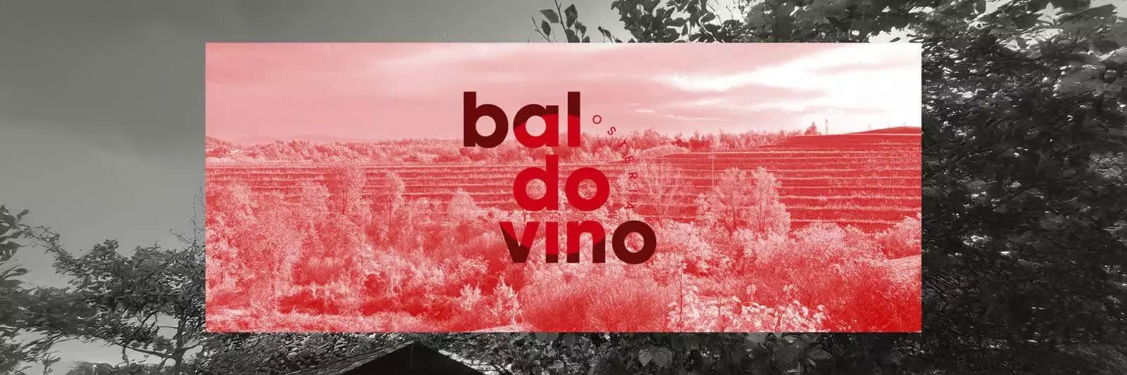 Osteria Baldovino