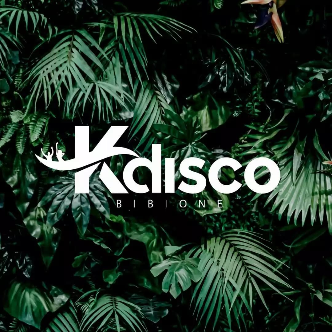 KDisco