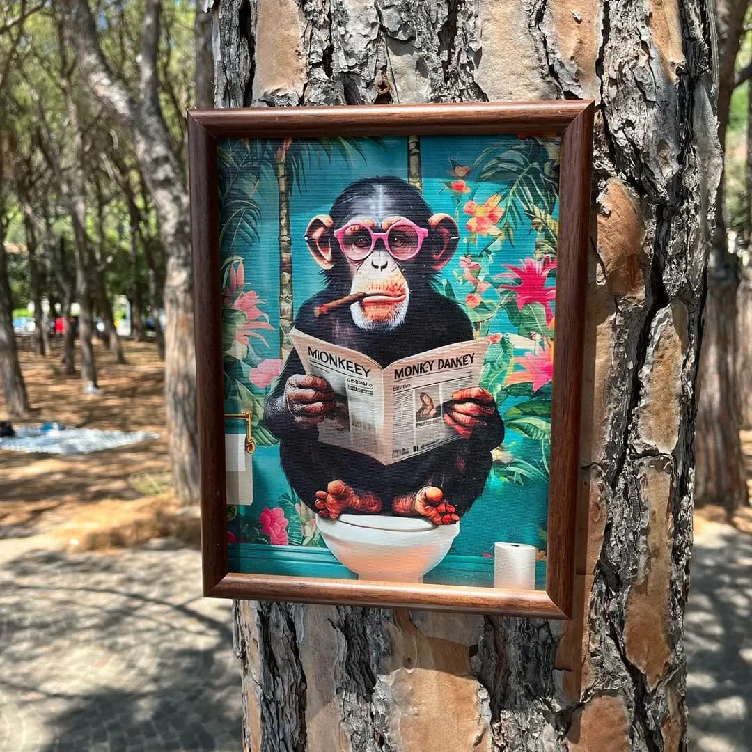 Monkey Bar – Pineta di Barcola